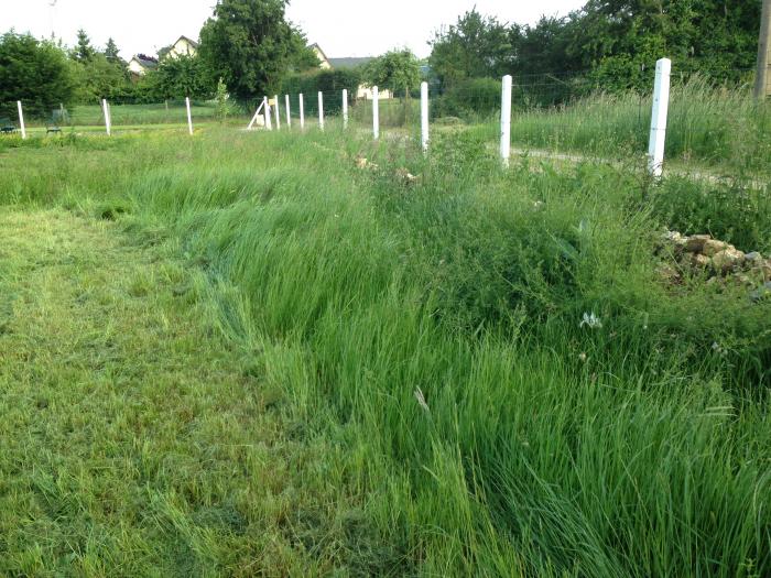 La clôture n'est pas une limite de propriété