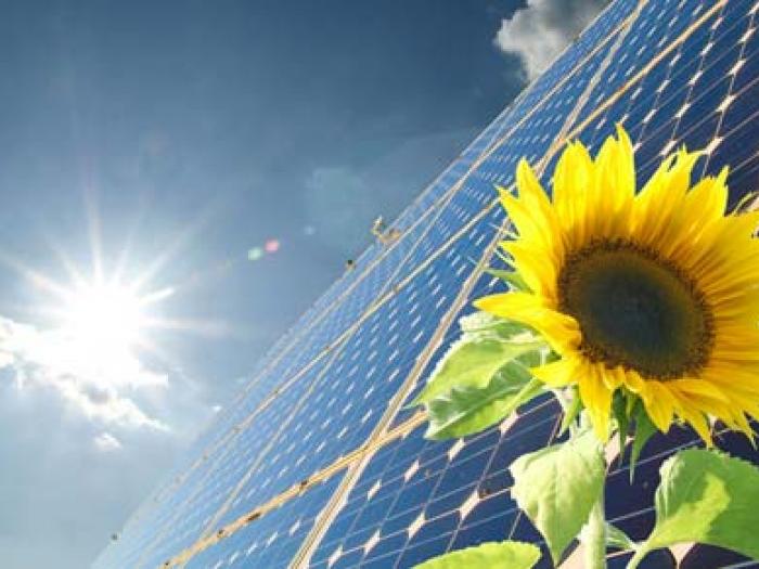 Energies renouvelables : 26% de la production d'électricité en 2020