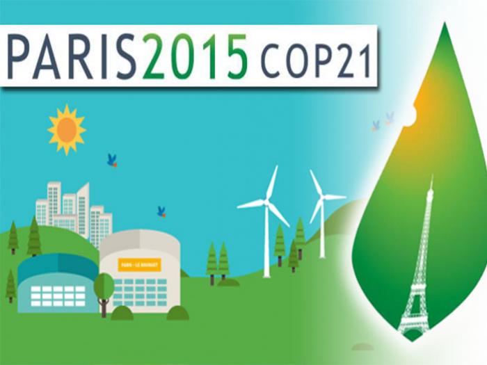 COP21(2/3) : Quelles vertus pour le bois ?