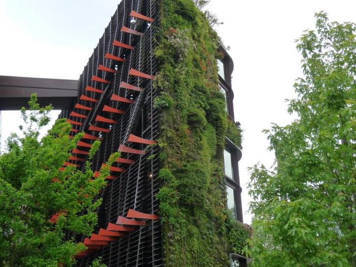 Paris veut 100 hectares de végétation en plus d'ici 2020