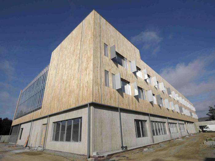 Une nouvelle union voit le jour dans le bois