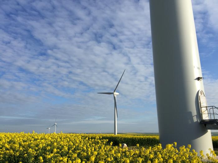 Les coûts du solaire et de l'éolien vont encore baisser fortement