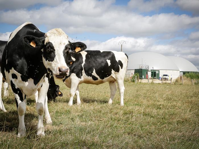 ExpoBiogaz (3) : le Biogaz, une industrie en construction