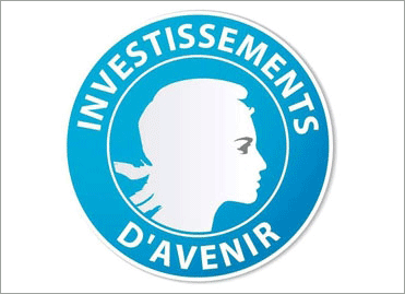 Investissements d'avenir 3: priorité à l'enseignement et la recherche