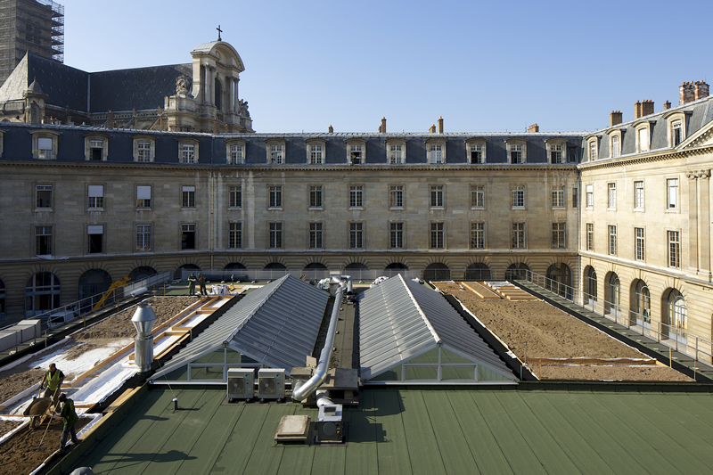 Un potager et bientôt une vigne sur un toit de l'Hôtel de Ville de Paris