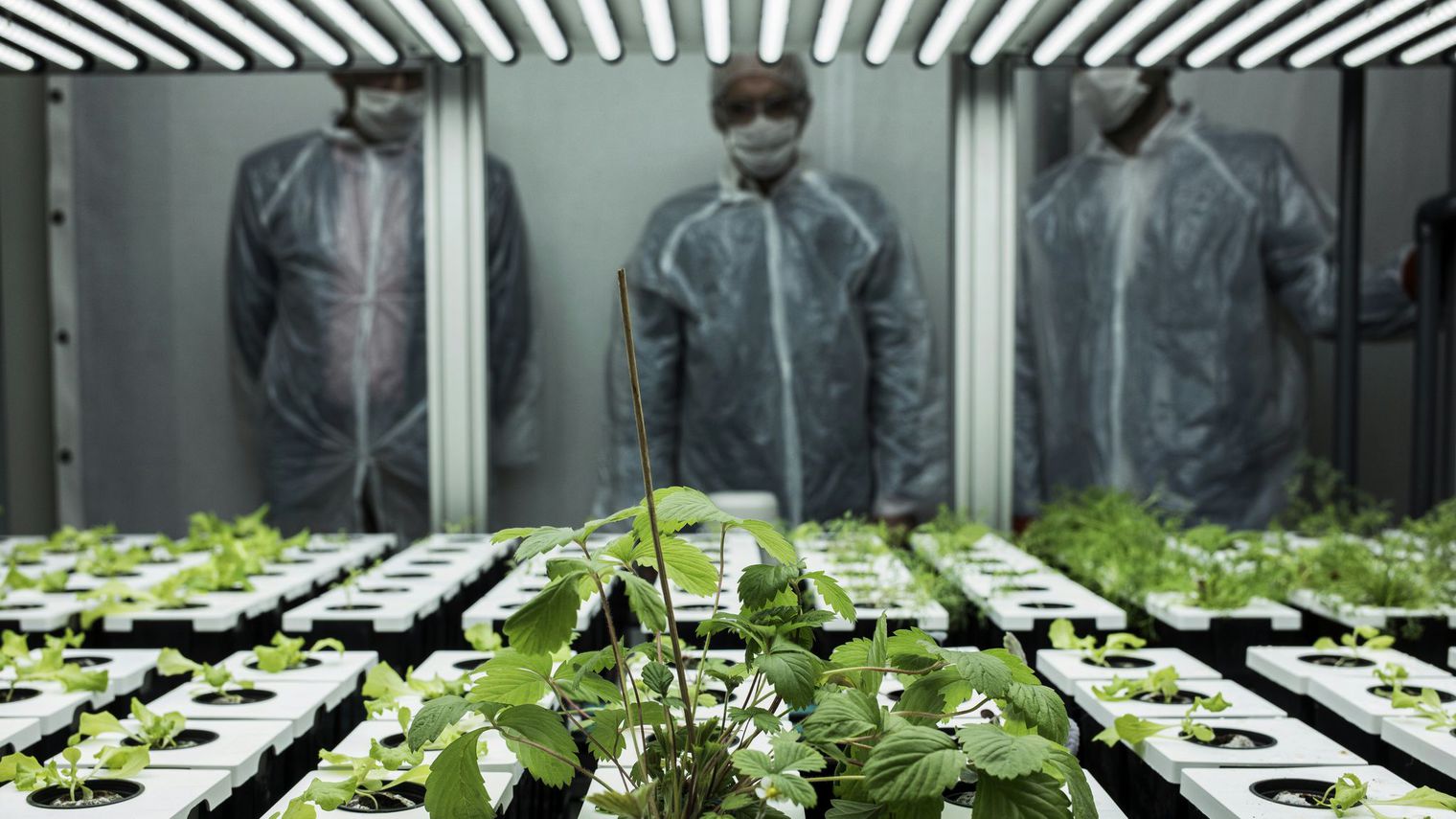 Un prototype de ferme urbaine dévoilé à Lyon