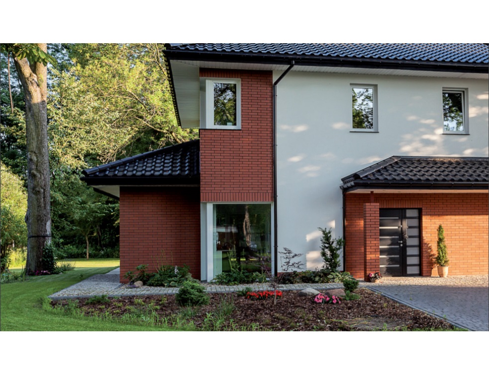 SENTRI TECH innove dans la lutte contre les termites