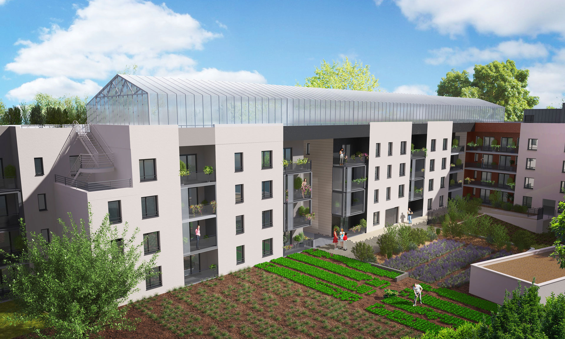 "Jardins Perchés" à Tours : quand le logement social s'allie au maraîchage urbain