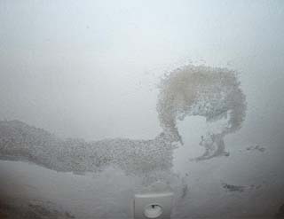 Peintures et finitions