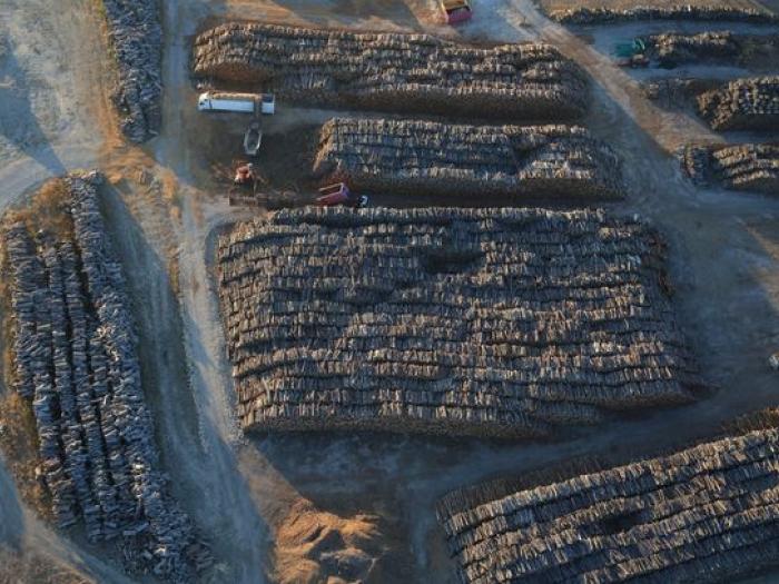 Uniper fait appel de l'annulation d'exploitation de sa centrale biomasse