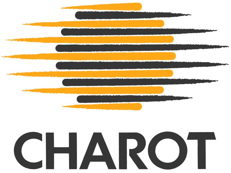 Générateur E.C.S. gaz à condensation MAXO CONDENS de 45 à 65 kW