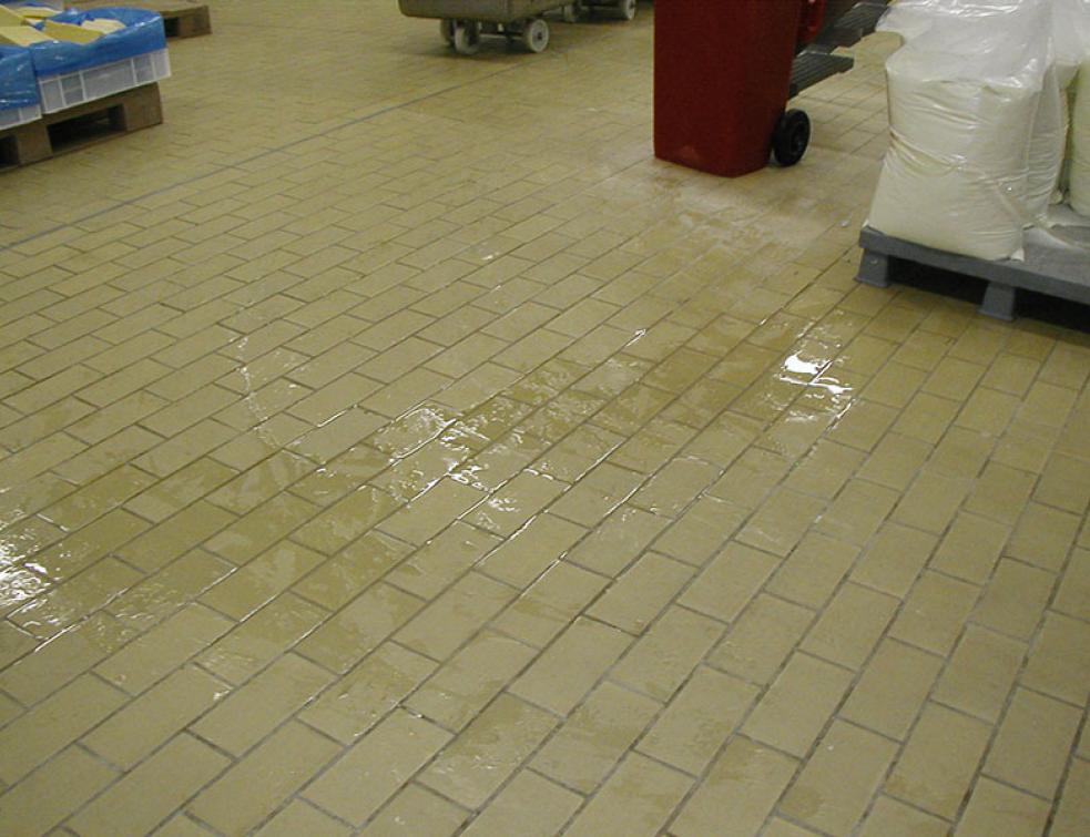 Un plan de sauvegarde nenlève pas au gérant sa capacité à agir en justice