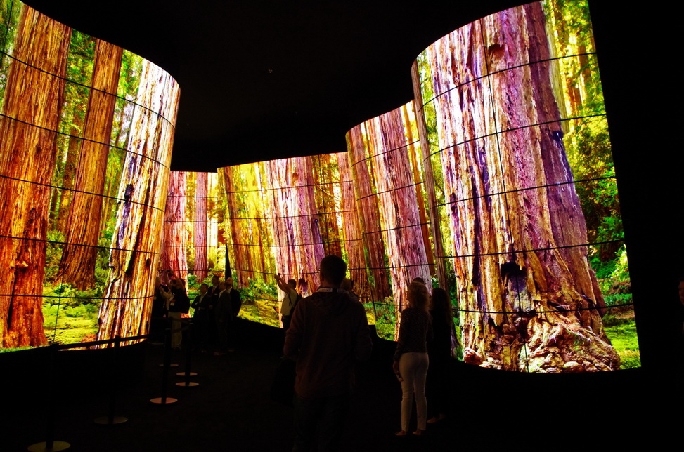 IFA 2018, Samsung et LG poussent leurs plateformes IoT