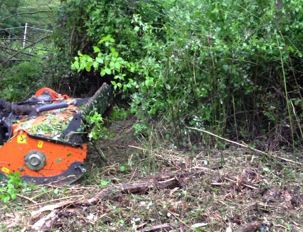 Ouvrages publics : attention au débroussaillage excessif !