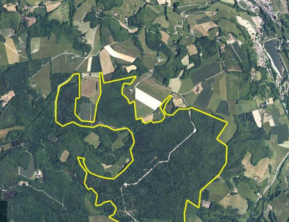 Center Parcs/Roybon: le Conseil d'Etat casse un arrêté stoppant la construction