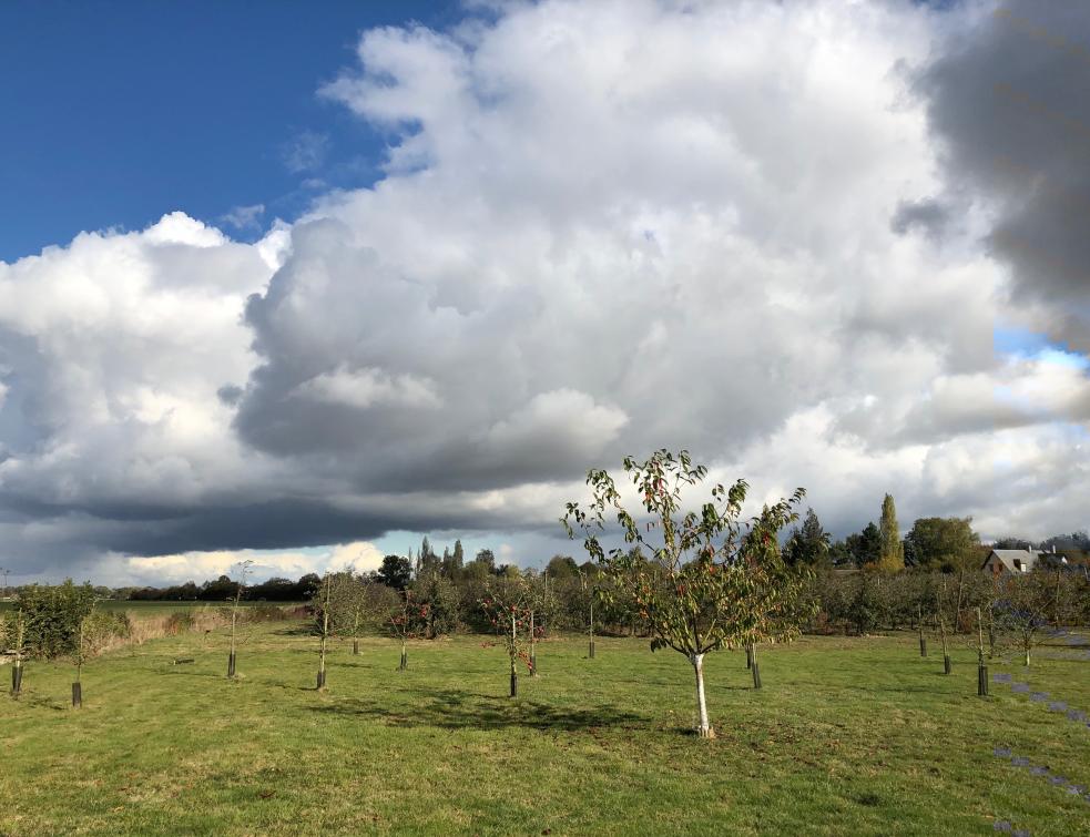 La petite parcelle n'échappe pas forcément au fermage