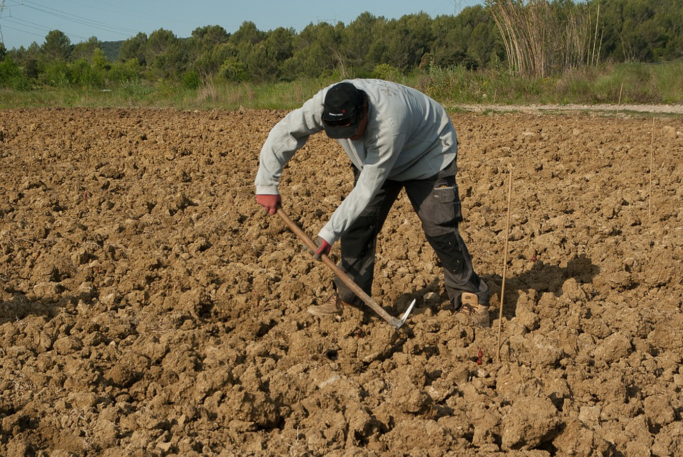 L'agriculteur à la retraite doit vendre ou louer ses terres