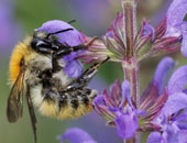 Fiches FDES : mieux les comprendre (page 3)