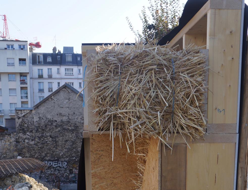  Le bois face au défi bio-sourcé
