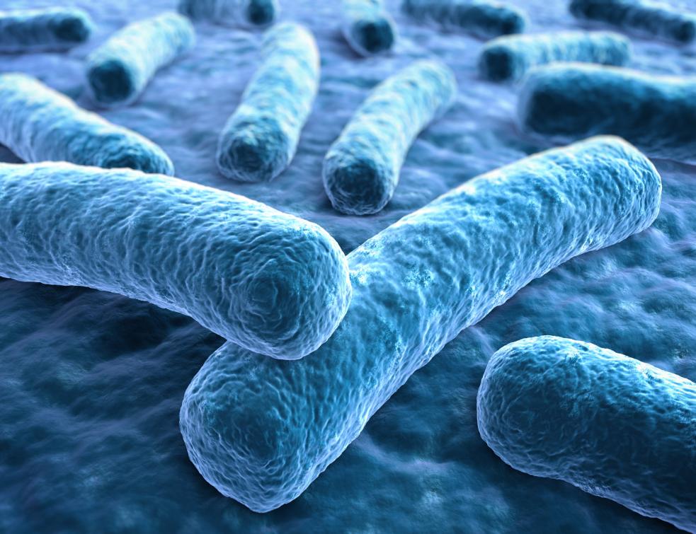 Une nouvelle plaque de plâtre élimine les microbes en plus des moisissures