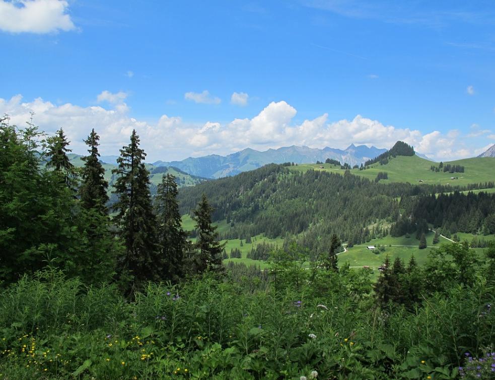 Le projet Center Parcs à Poligny compromis par la justice