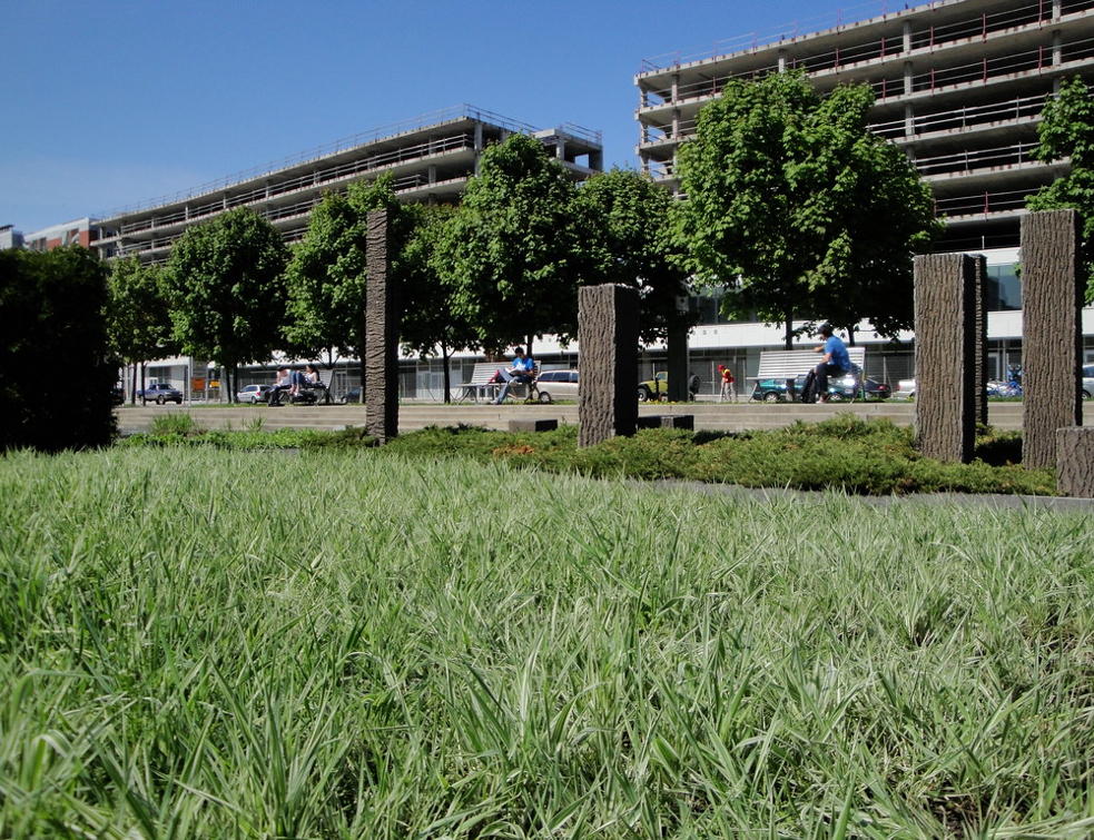 Anne Hidalgo annonce la création de "forêts urbaines" à Paris
