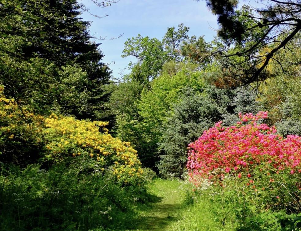 Une construction illégale en zone protégée peut ne pas être détruite