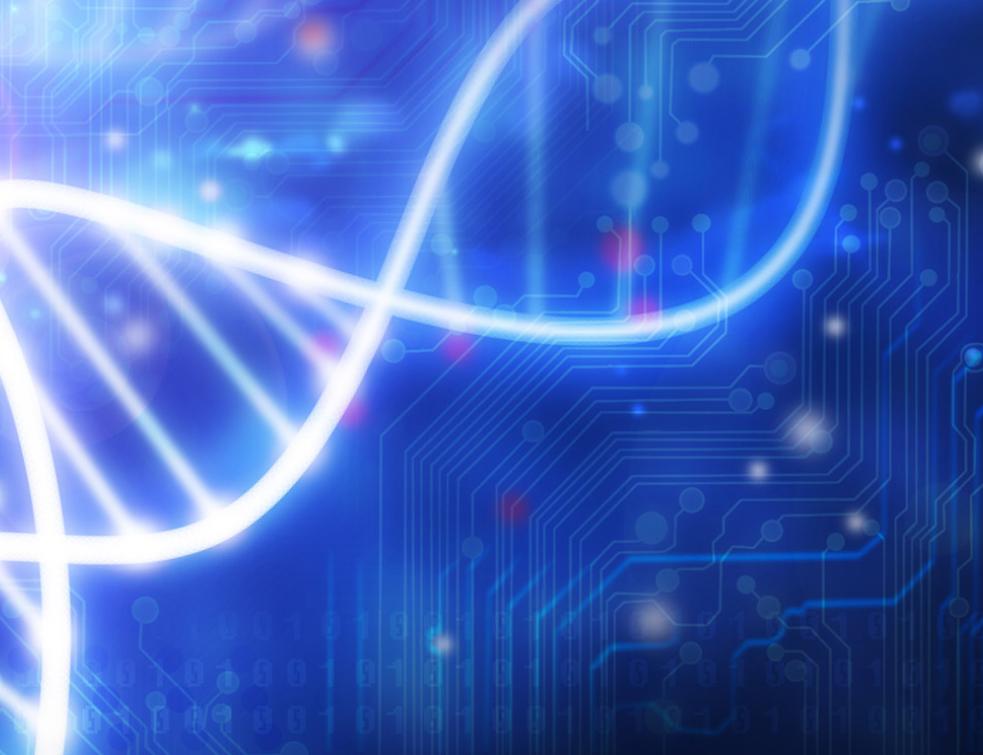 Vinci Energies acquiert le groupe allemand OFM