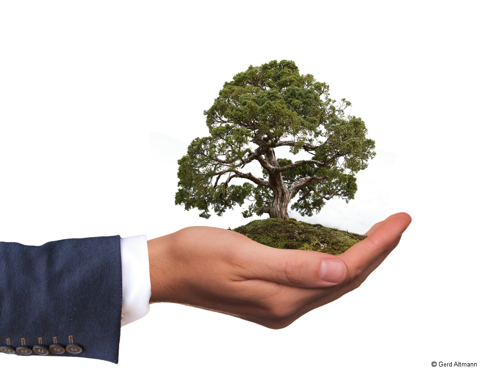 Emploi, écologie : Philippe met en lumière les "solutions" des territoires