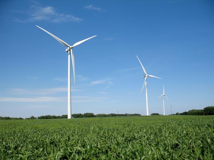 EDF veut booster l'éolien et le solaire en France