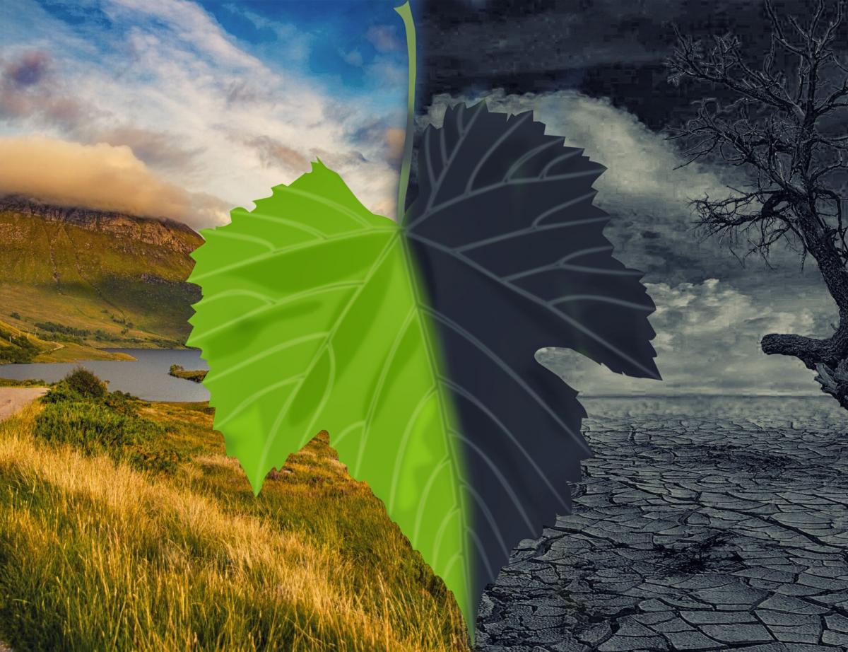 Les multinationales doivent en faire plus pour le climat