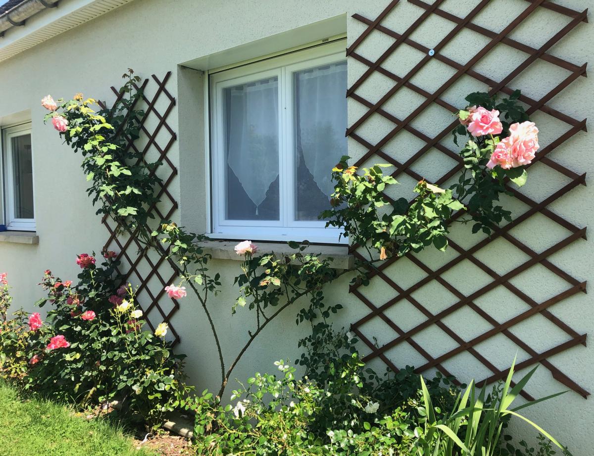 Un marché contrasté pour les fenêtres posées en 2019