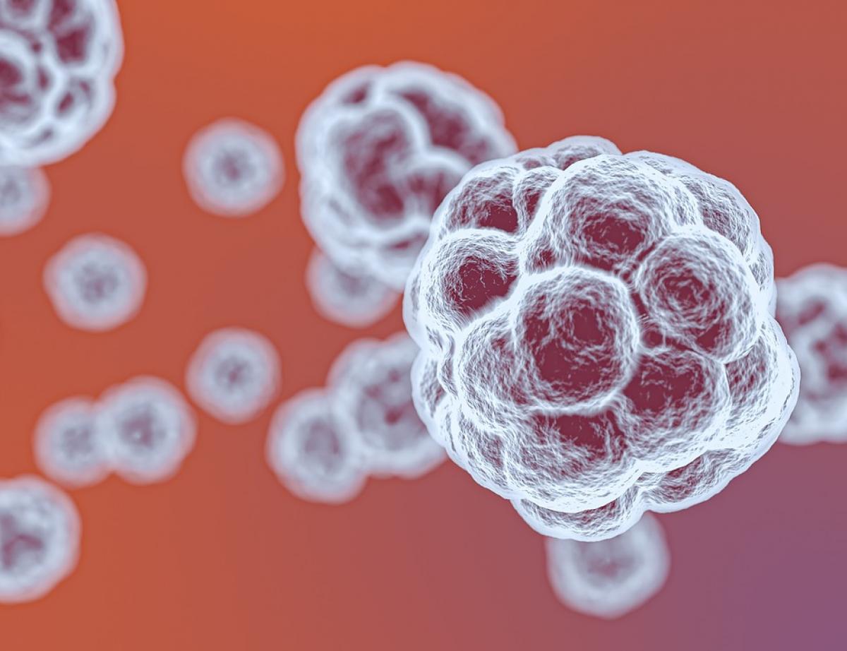 Coronavirus et droit de retrait du salarié
