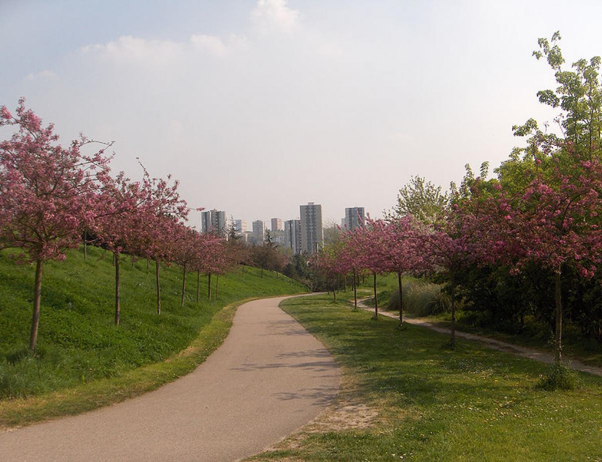 Architectes et urbanistes planchent sur la ville de rêve post-confinement
