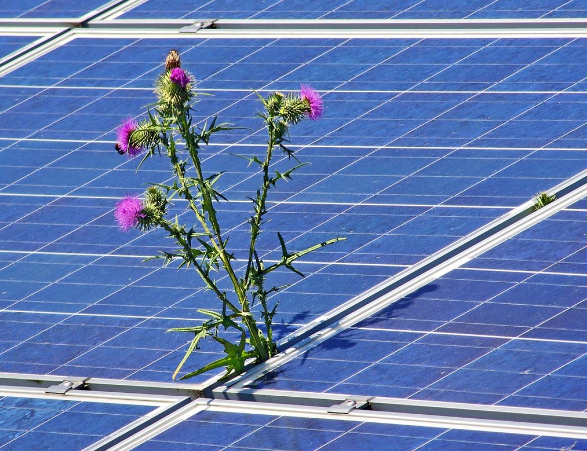 Des panneaux solaires, oui, mais pas à la place des champs !