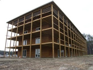 Bois : le pin maritime affiche son impact environnemental