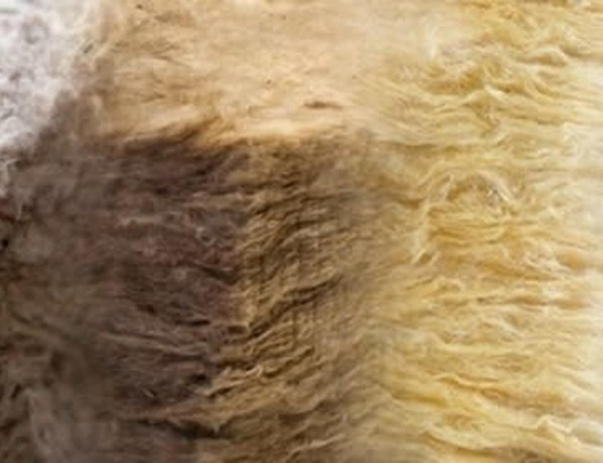 Les laines minérales, les valeurs sûres de lisolation du bâtiment