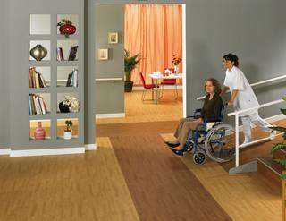 Les solutions pour faciliter laccessibilité intérieure (page 3)