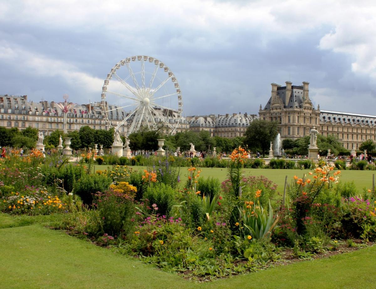 Eclairage modernisé, plus d'espaces verts: Paris planche sur son urbanisme