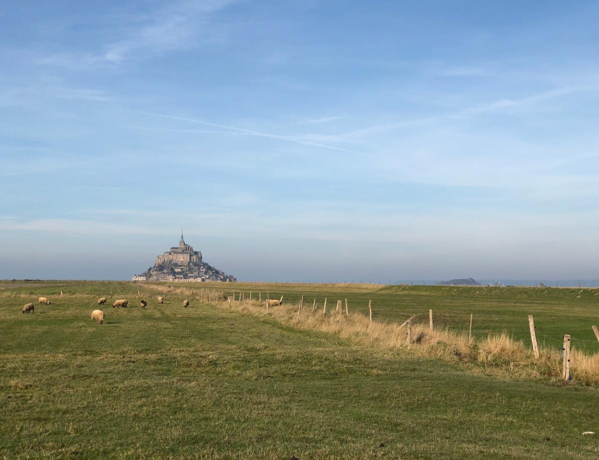 Loi littoral : un éleveur de prés-salés refuse de détruire sa bergerie
