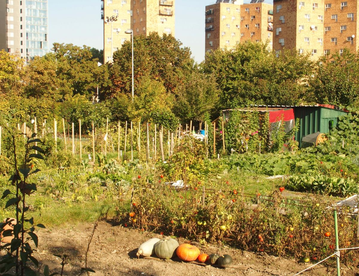 JO-2024: évacuation des occupants des jardins ouvriers d'Aubervilliers