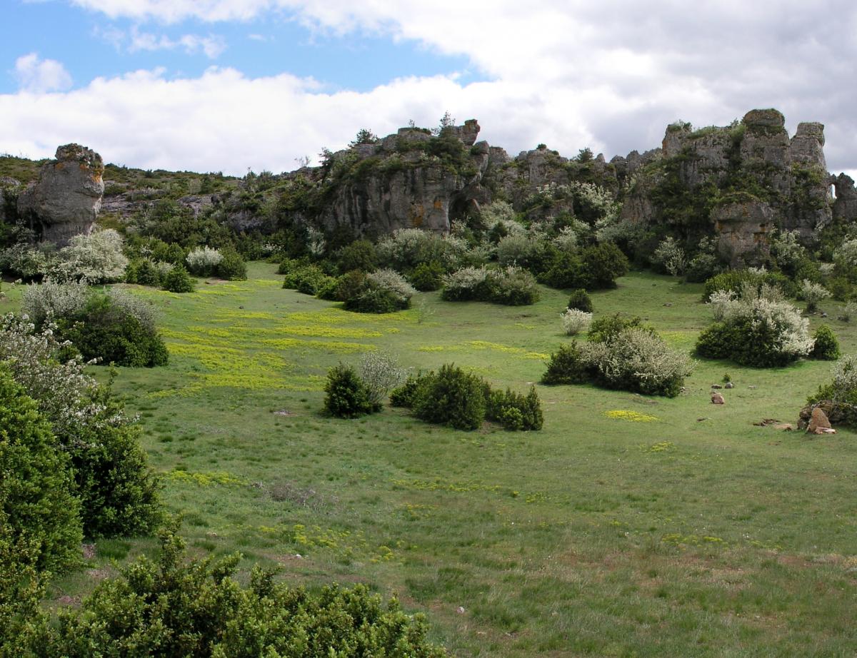 Larzac: un projet de centrale solaire refait surface, en version allégée