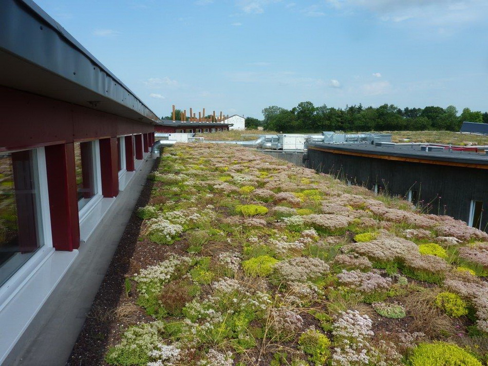 BIG, un programme de recherche inédit sur lempreinte biodiversité des projets immobiliers