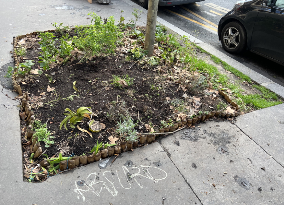 Bientôt la fin des pieds d'arbres décriés par #saccageParis