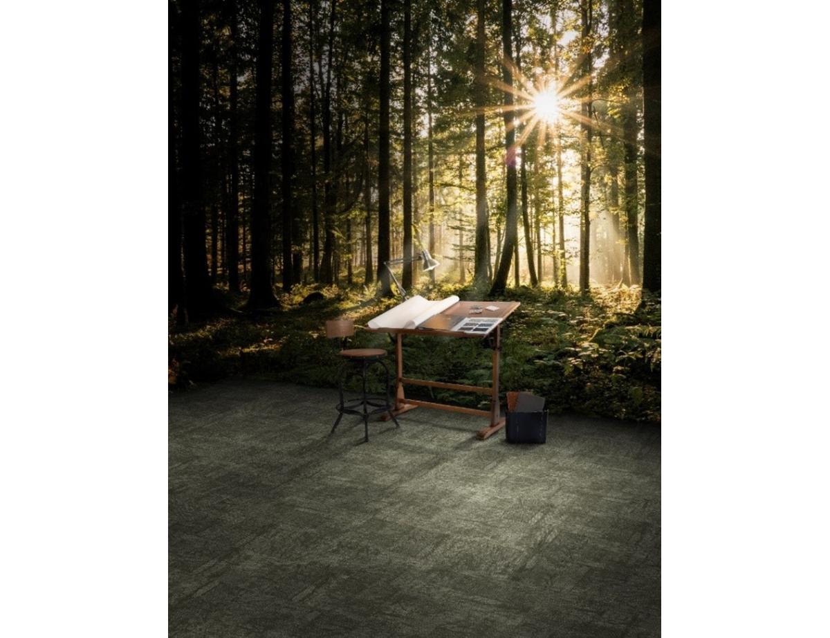 Milliken & Company annonce une neutralité carbone pour lensemble de ses gammes de revêtement de sol