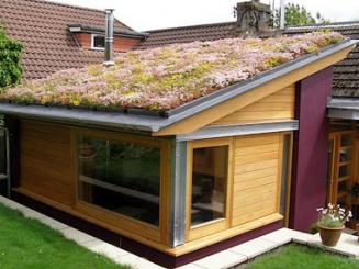 Toitures végétalisées : Plus dun million de mètres carré par an !