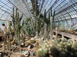 Roland-Garros : l'extension sous avis favorable