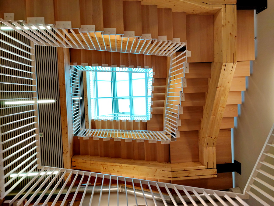 Un immeuble de bureaux en structure poteaux-poutres en bois lamellé-collé en plein Paris