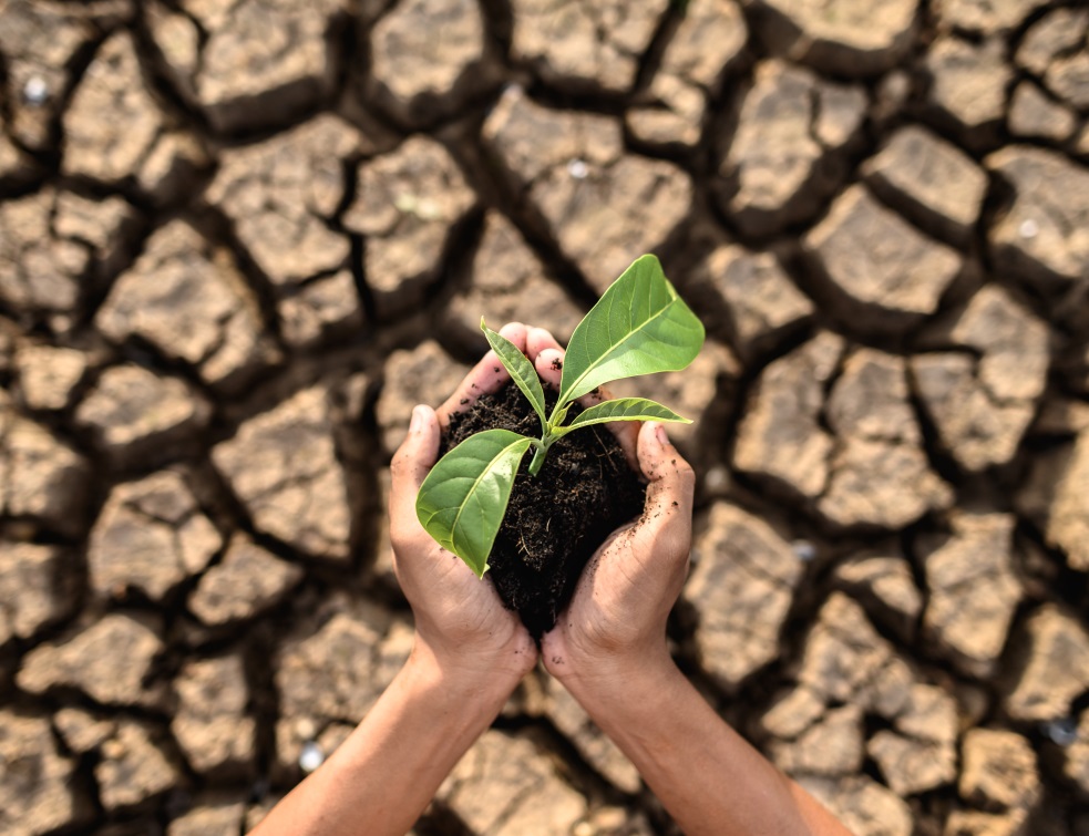 Selon le GIEC, il est urgent d'introduire le concept de sobriété dans le bâtiment