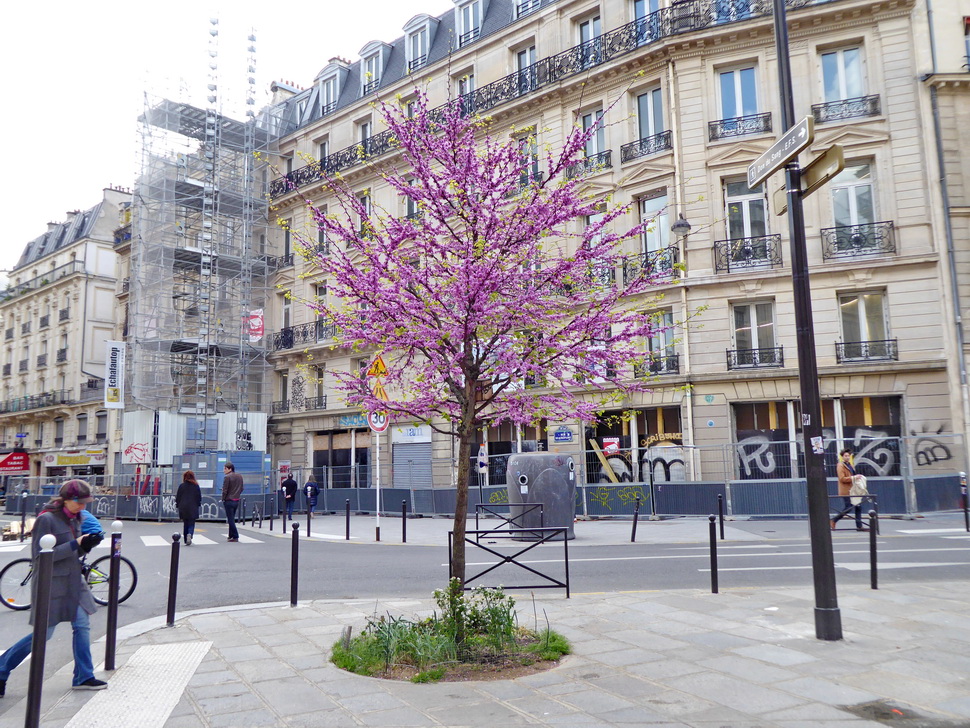 Lintelligence artificielle pour accélérer et fiabiliser la rénovation des bâtiments